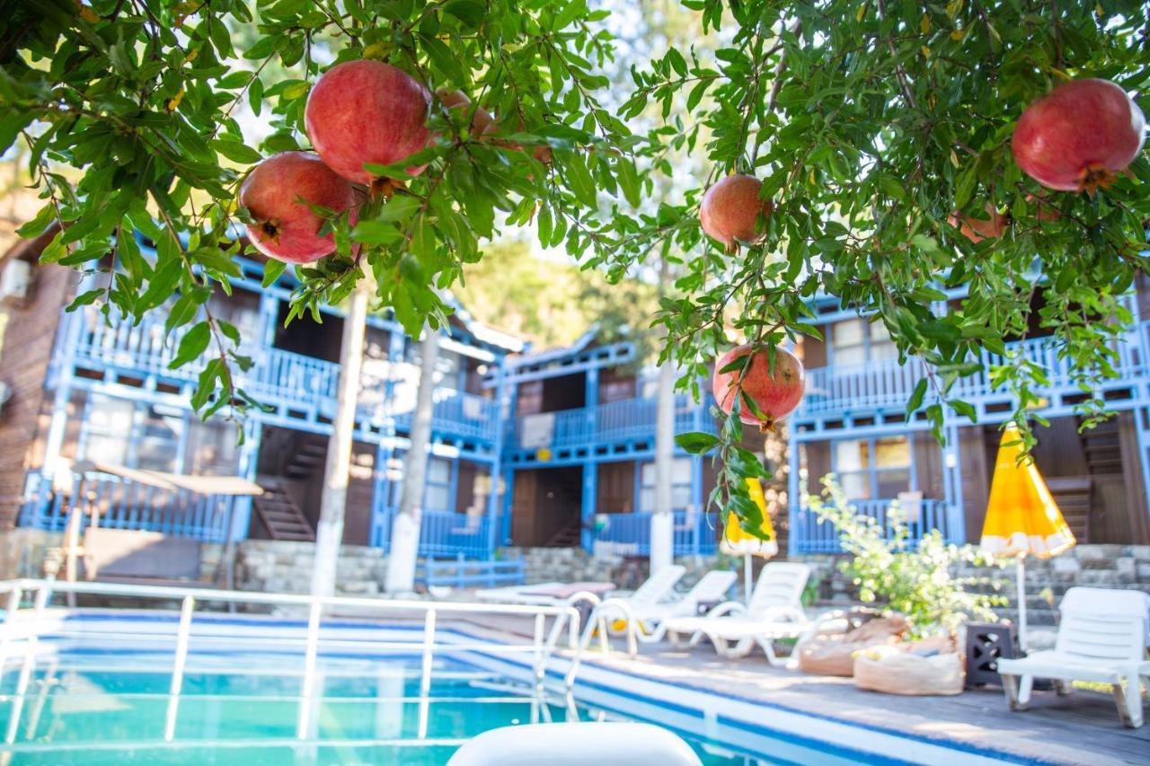 Olympos Cinar Hotel Exterior photo